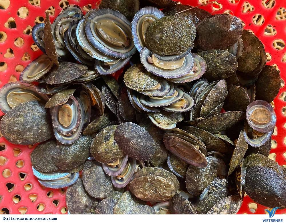 Ốc vú nàng Ốc vú nàng