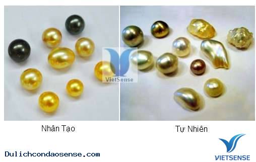Phân Biệt Ngọc trai tự nhiên và ngọc trai nuôi nhân tạo Phân Biệt Ngọc trai tự nhiên và ngọc trai nuôi nhân tạo