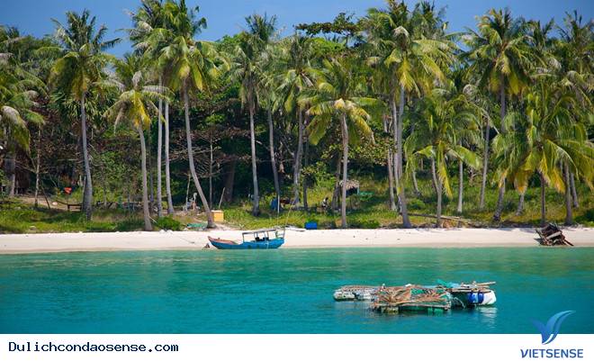 Quy Hoạch Tổng Thể Phát Triển khu thăm quan Quốc Gia Côn Đảo Đến Năm 2030 - Ảnh 2