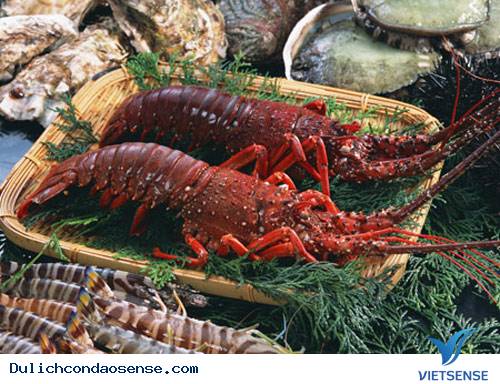 hải sản côn đảo