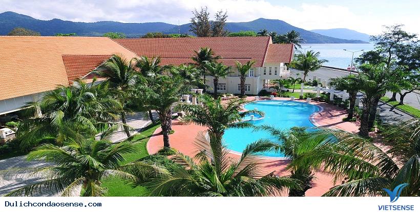 Sự phát triển Của
 Côn Đảo - Ảnh 3