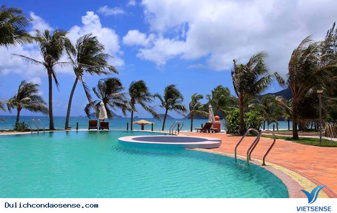 Sự phát triển Của
 Côn Đảo - Ảnh 1