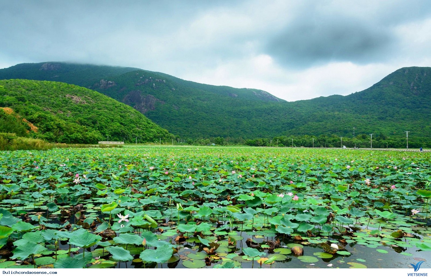 Tháng 4 nhất định phải đến Côn Đảo - Ảnh 4