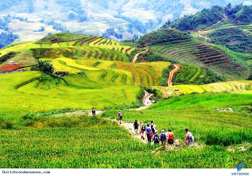 Tháng 9, 10 nên trải nghiệm ở đâu ? Cát Cát, Tả Van ở Sa Pa- Lào Cai