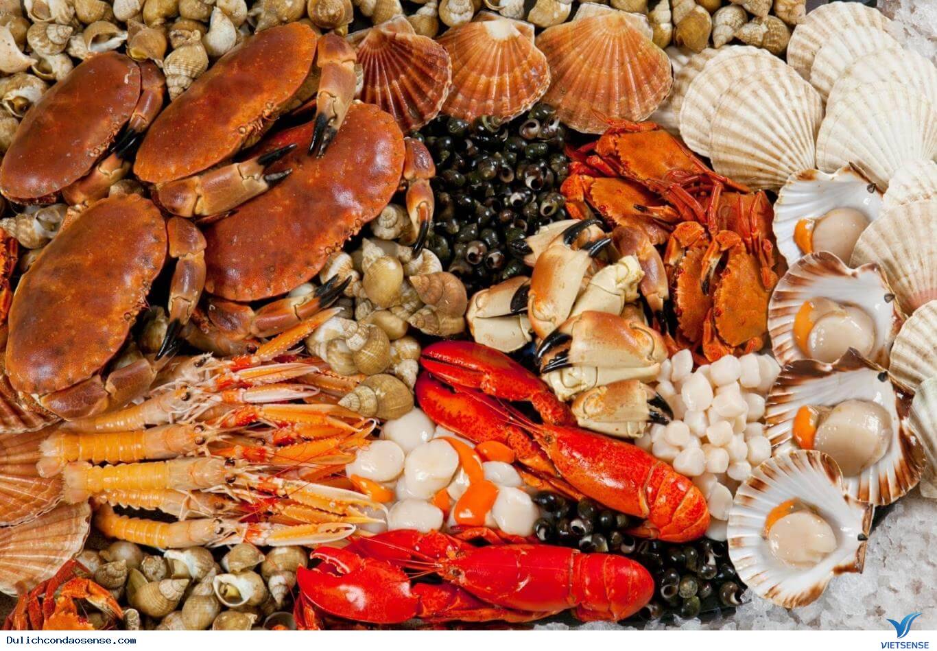 thiên đường thăm quan, trải nghiệm
 Côn Đảo - Ảnh 5