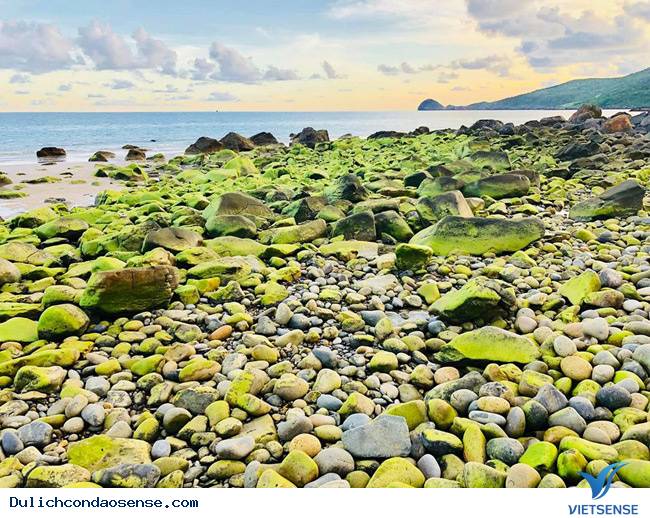 Thời điểm thích hợp nhất để đến Bãi Nhát