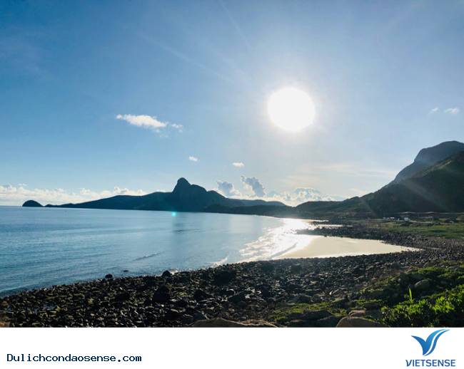 Tổng quan về Bãi Nhát - Ảnh 2