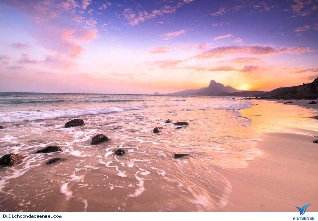 Tổng quan về Bãi Nhát - Ảnh 3