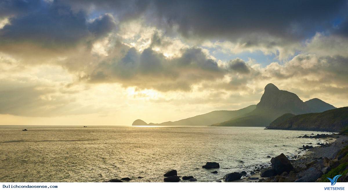 Tổng quan về Bãi Nhát - Ảnh 4