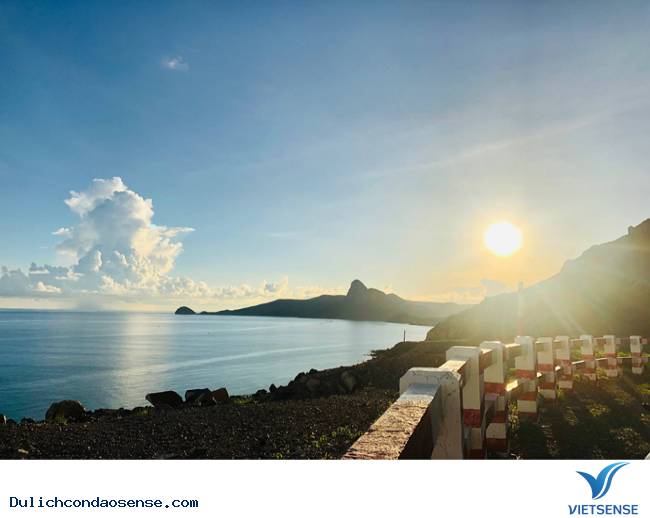 Tổng quan về Bãi Nhát - Ảnh 5