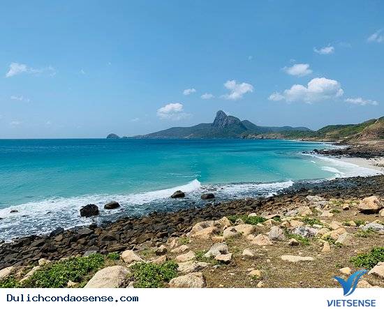 Tổng quan về Bãi Nhát - Ảnh 6