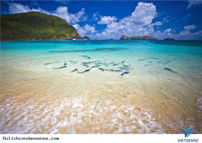 Côn Đảo dịp lễ 30-4 đang nóng từng ngày - Ảnh 3 Côn Đảo dịp lễ 30-4 đang nóng từng ngày - Ảnh 3