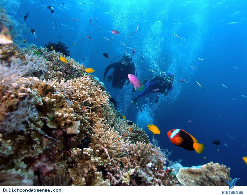 Trả Lời Câu Hỏi Thường Gặp Khi Đi Côn Đảo - Ảnh 4