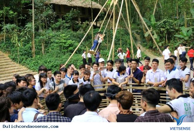 Trải nghiệm chăn trâu bắt cá ở Thái Nguyên của khách thăm quan - Ảnh 5 Trải nghiệm chăn trâu bắt cá ở Thái Nguyên của khách thăm quan - Ảnh 5