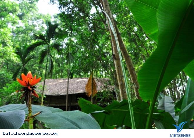 Trải nghiệm chăn trâu bắt cá ở Thái Nguyên của khách thăm quan - Ảnh 7 Trải nghiệm chăn trâu bắt cá ở Thái Nguyên của khách thăm quan - Ảnh 7