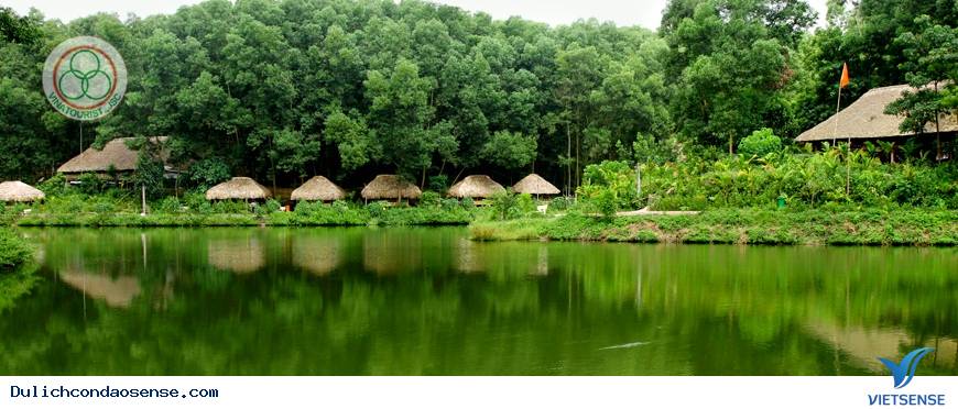 Trải nghiệm chăn trâu bắt cá ở Thái Nguyên của Du Khách Trải nghiệm chăn trâu bắt cá ở Thái Nguyên của Du Khách