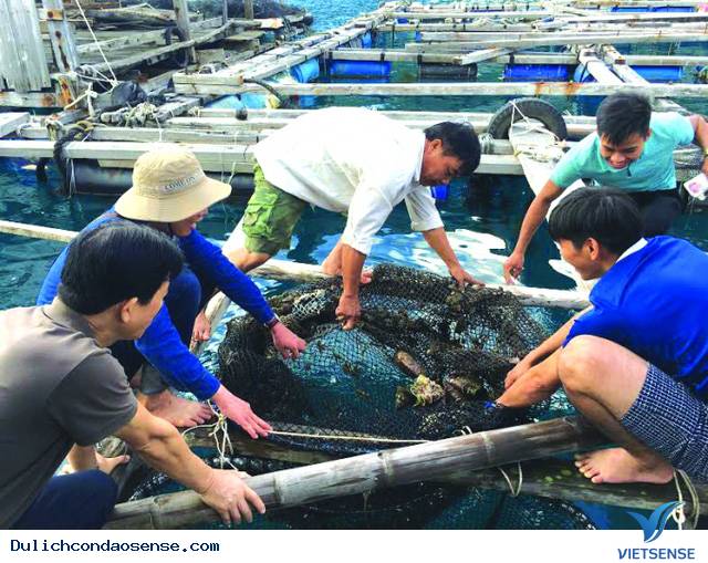 Thay da đổi thịt từng ngày