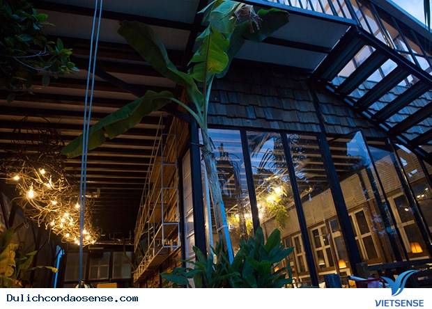 Uyên's House - Homestay Đẹp Cạn Lời Tại Côn Đảo - Ảnh 13 Uyên's House - Homestay Đẹp Cạn Lời Tại Côn Đảo - Ảnh 13