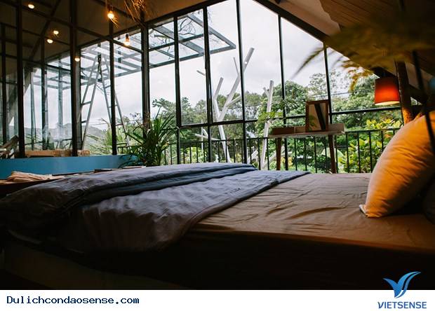 Uyên's House - Homestay Đẹp Cạn Lời Tại Côn Đảo - Ảnh 8 Uyên's House - Homestay Đẹp Cạn Lời Tại Côn Đảo - Ảnh 8