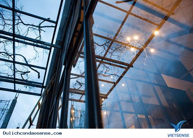 Uyên's House - Homestay Đẹp Cạn Lời Tại Côn Đảo - Ảnh 12 Uyên's House - Homestay Đẹp Cạn Lời Tại Côn Đảo - Ảnh 12