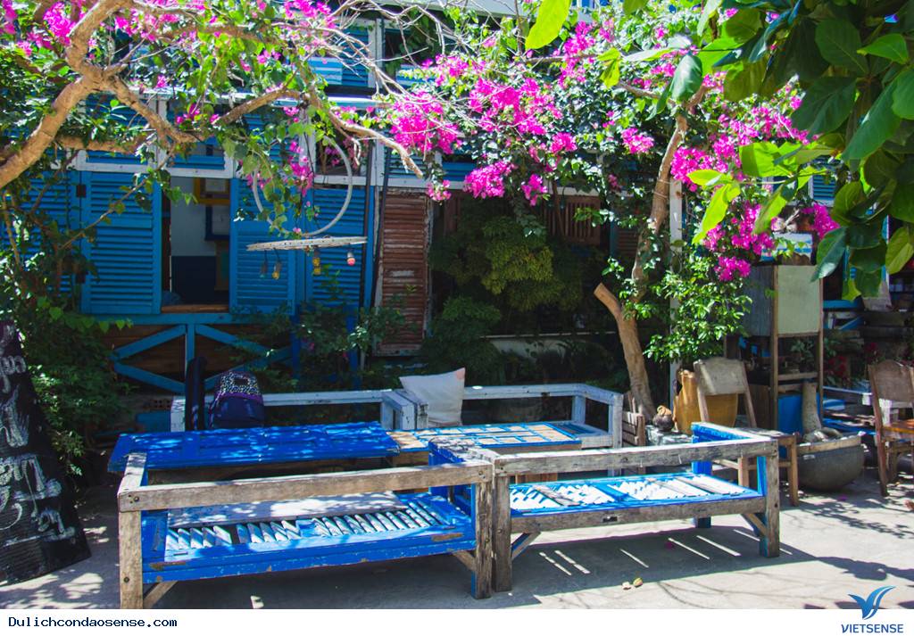 Về Côn Đảo Ngày Hè Ngắm Biển Trời Xanh Ngát - Ảnh 9