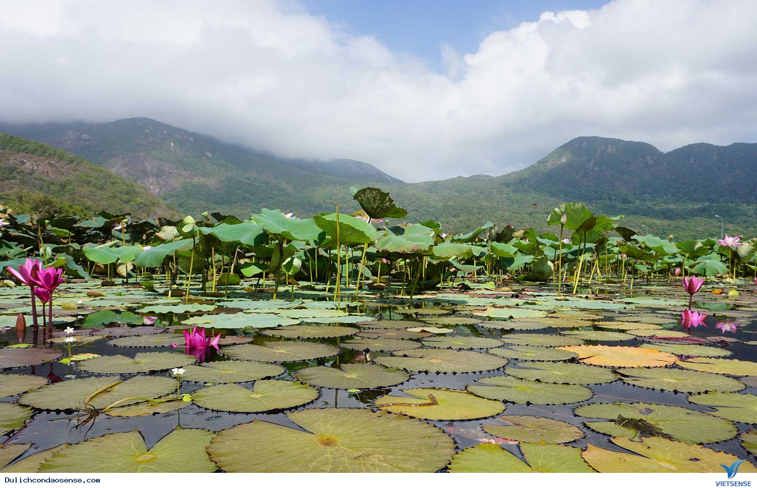 Vẻ đẹp của hồ - Ảnh 1