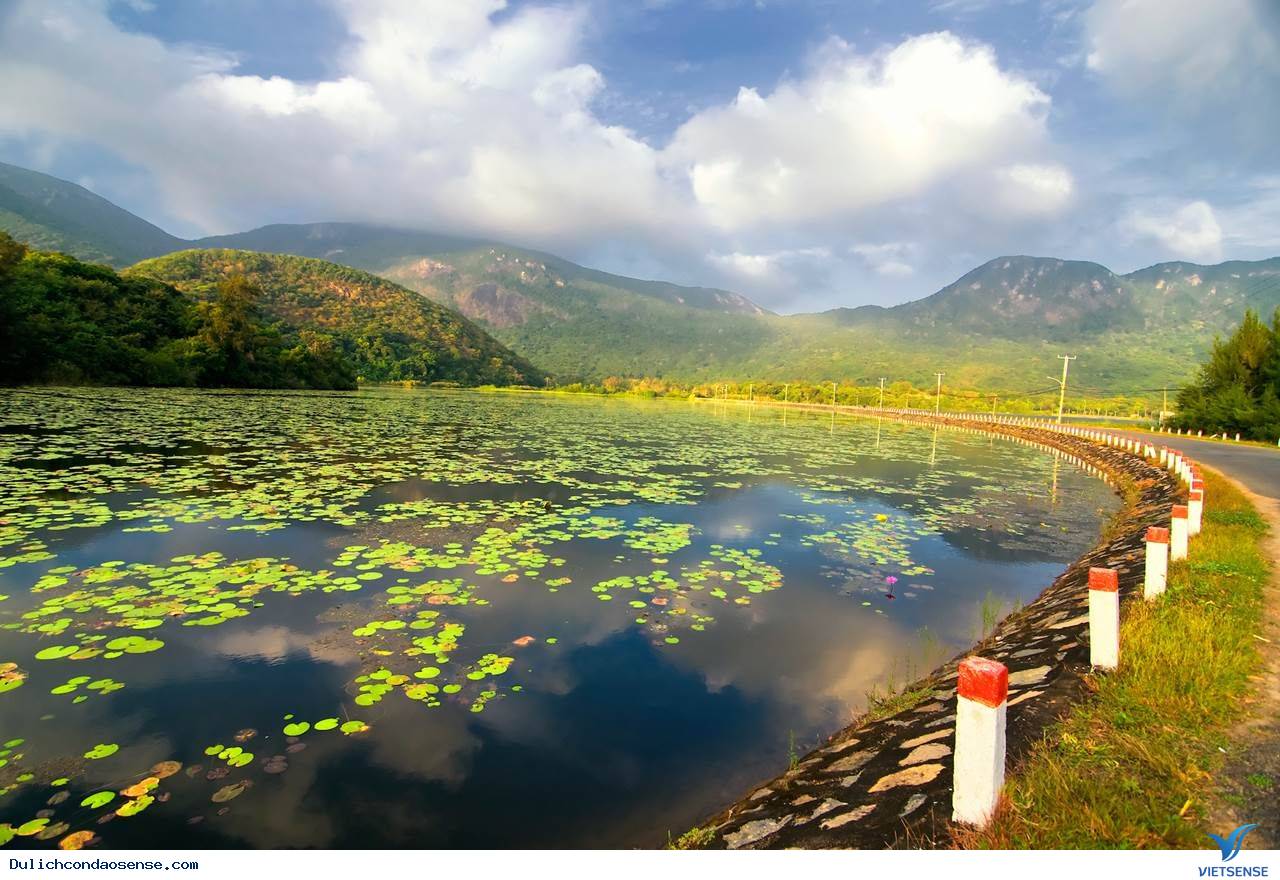 Vẻ đẹp của hồ - Ảnh 2