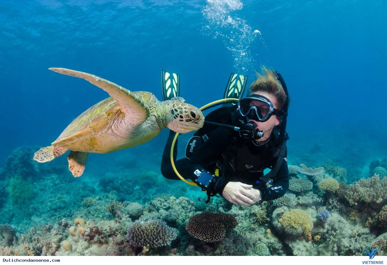 Vẻ đẹp của hòn Tre Nhỏ - Ảnh 2