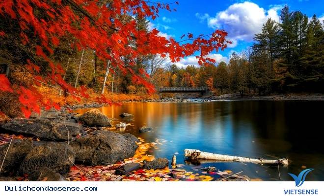 Mùa thu: Mùa thu là thời điểm lãng mạn và thơ mộng nhất trong năm. Hãy thưởng thức những bức ảnh đẹp của mùa thu để cảm nhận sự ấm áp và ngọt ngào của mùa lá rụng này.