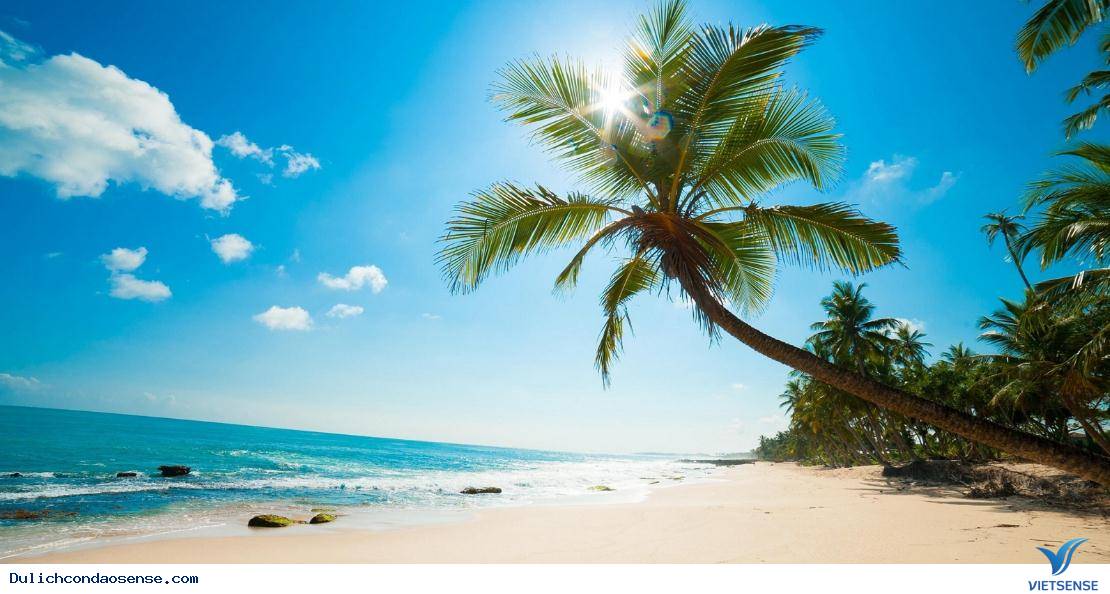 Vì sao phải chọn một công ty lữ hành uy tín, khi tham gia hành trình đến Côn Đảo - Ảnh 4