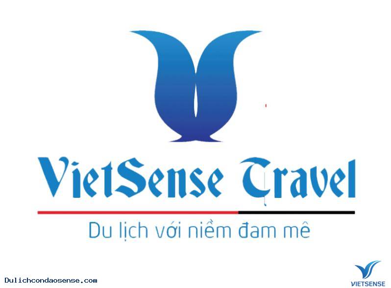 Vì sao phải chọn một công ty lữ hành uy tín, khi tham gia hành trình đến Côn Đảo - Ảnh 2