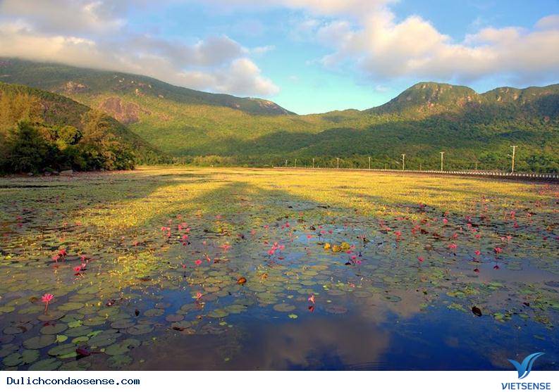 Vì sao phải chọn một công ty lữ hành uy tín, khi tham gia hành trình đến Côn Đảo - Ảnh 6