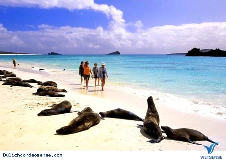 Việt Nam lọt top điểm du lịch sinh thái thế giới