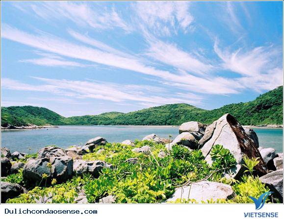 Vịnh Đầm Tre Côn Đảo - Ảnh 2 Vịnh Đầm Tre Côn Đảo - Ảnh 2