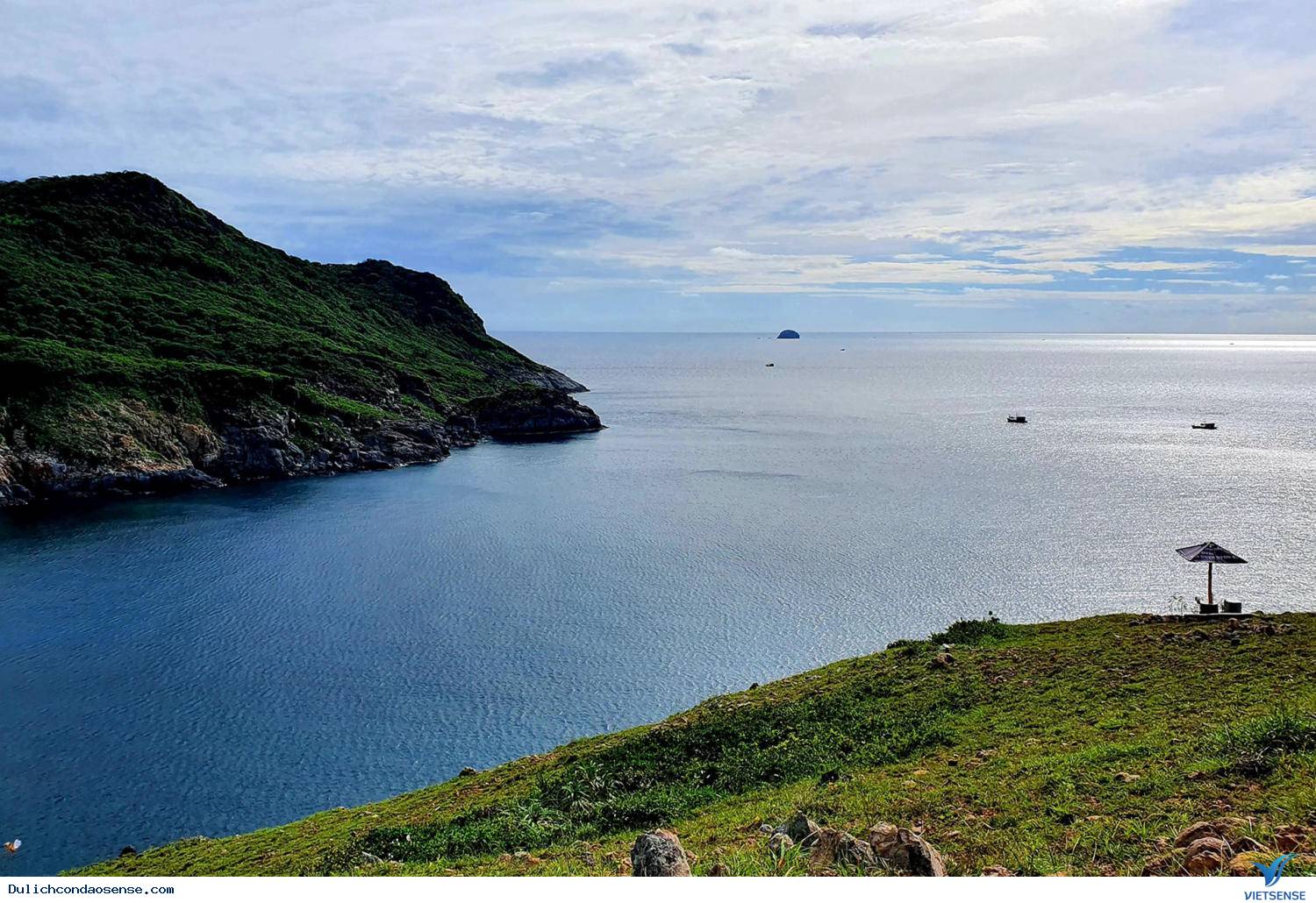 Giới thiệu chung về Đầm Tre Giới thiệu chung về Đầm Tre