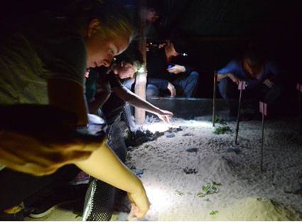 du lịch Côn Đảo du lịch Côn Đảo