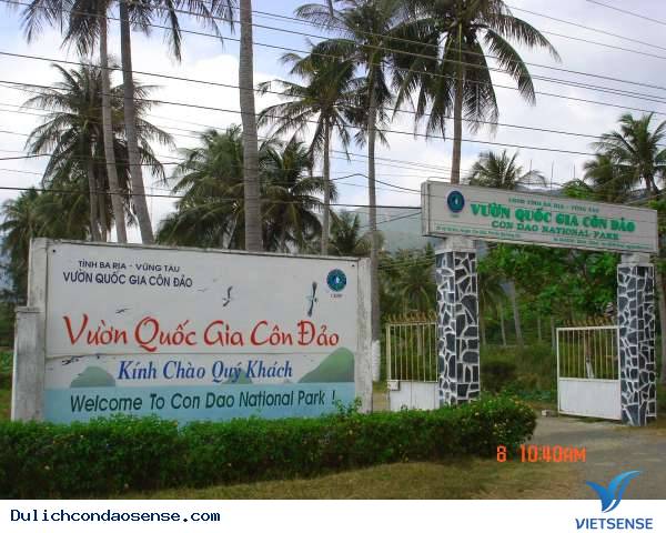 Vườn Quốc Gia Côn Đảo là Ramsar biển đầu tiên của Việt Nam - Ảnh 1 Vườn Quốc Gia Côn Đảo là Ramsar biển đầu tiên của Việt Nam - Ảnh 1