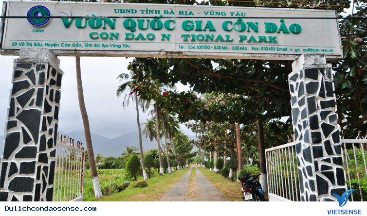 Vườn Quốc Gia Côn Đảo Vườn Quốc Gia Côn Đảo